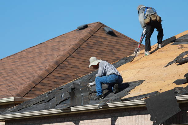 Best Metal Roofing Installation  in Central Heights Midland City, AZ